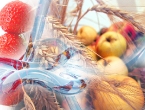 fruit-particles